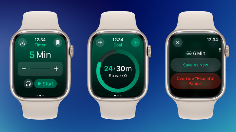The Zenitizer app interface on Apple Watch showing a meditation timer and daily mindfulness goal.