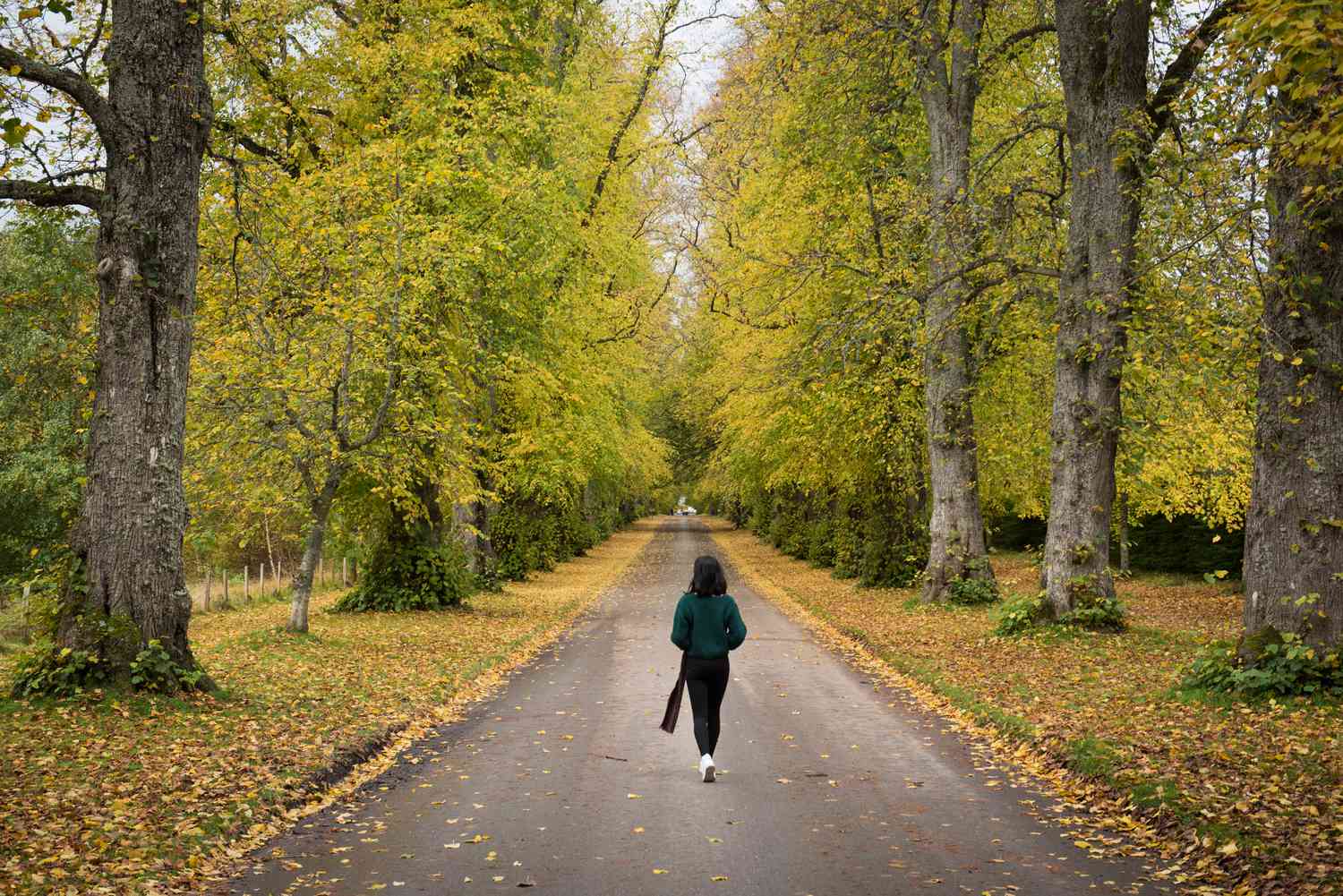 Balance Blood Sugar Naturally: The Science-Backed Benefits of Walking After Eating