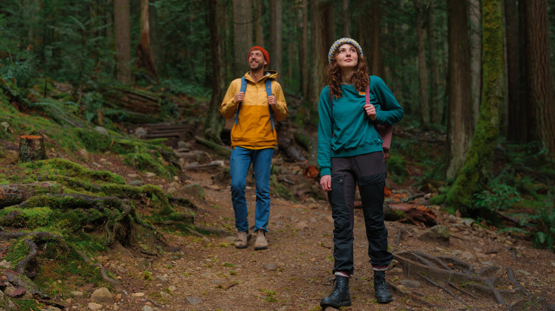 A man and woman hiking through a wooded trail, illustrating the typical environment for satellite safety features.